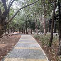 湖西鄉林投村林投公園