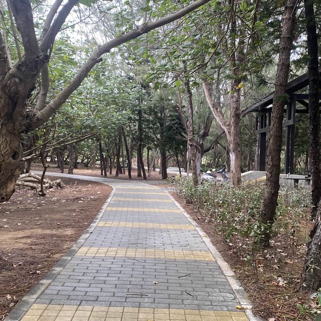 湖西鄉林投村林投公園
