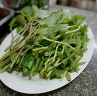 베트남 여행 쌀국수 맛집 Phở Quỳnh