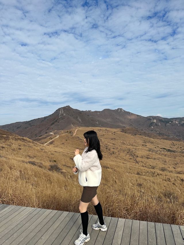 가을에는 억새느낌으로 분위기있게🌾