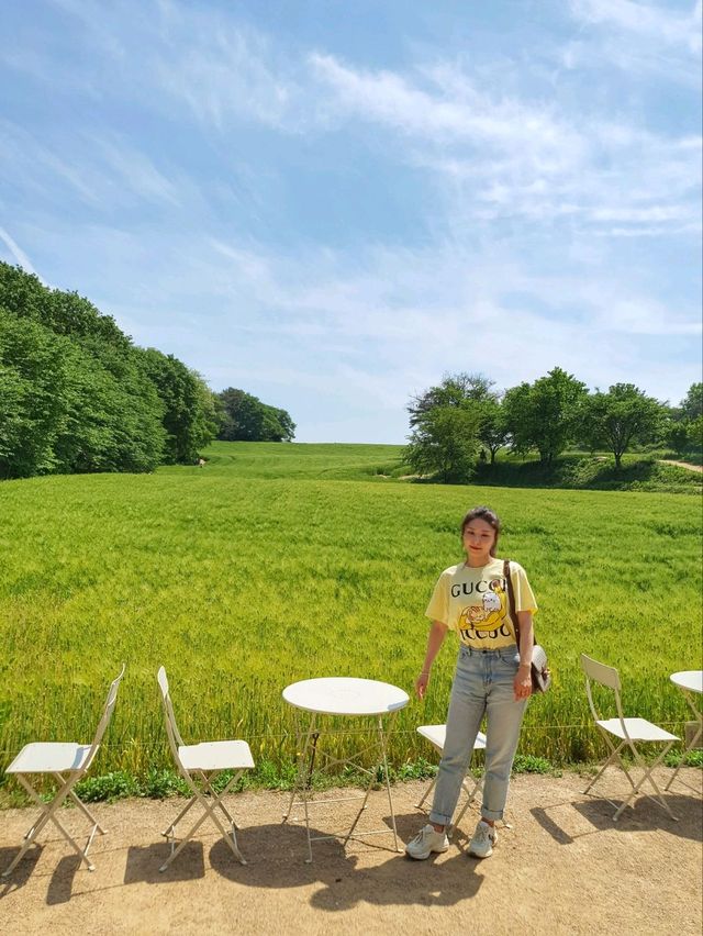 청보리밭이 힐링인 5월에 꼭 가야할 당진 카페피어라🌿