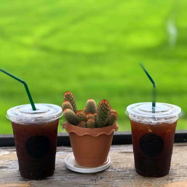 กาแฟกลางทุ่ง NA Cafe' 