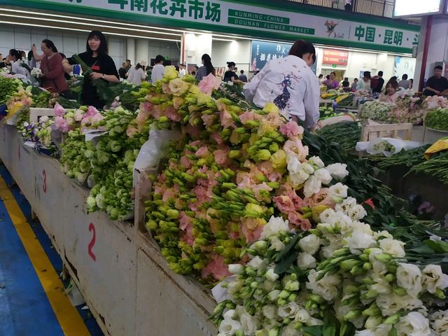 昆明-斗南花市(亞洲最大花市)-名不虛傳熱鬧到夜晚