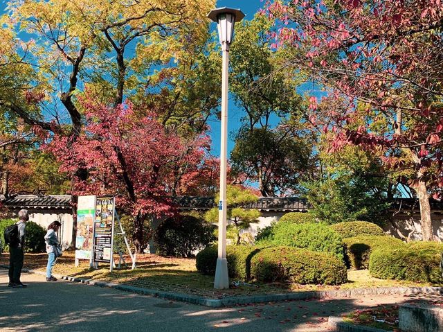 ปราสาทโอซาก้า (Osaka Castle)🏯ฤดูใบไม้เปลี่ยนสี