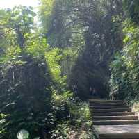 ✨山豬溝生態步道✨