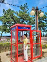 날씨 좋은날엔 강릉 경포해변🏖하세요!