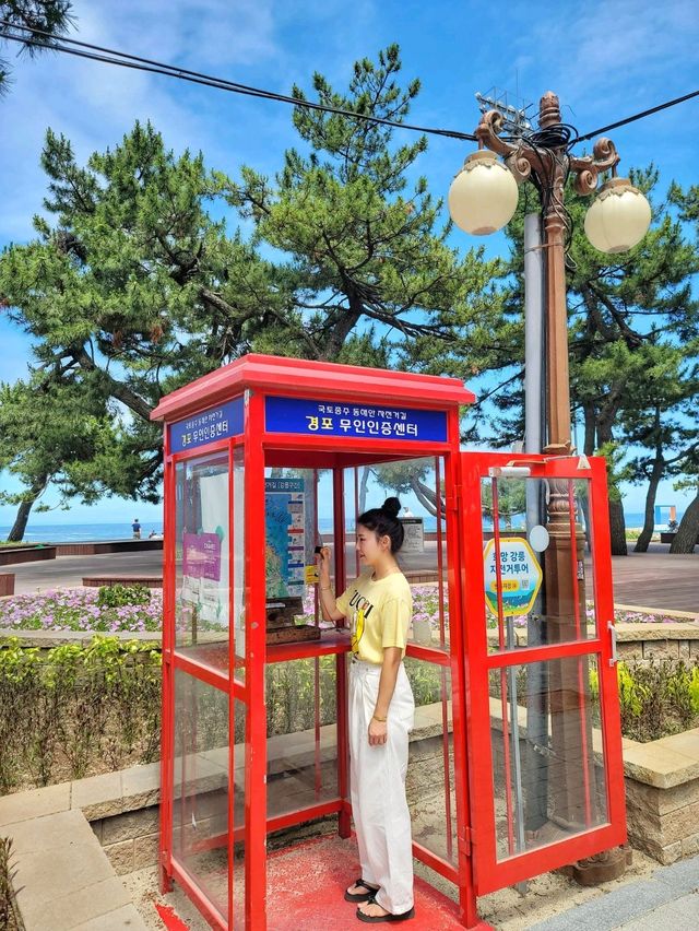 날씨 좋은날엔 강릉 경포해변🏖하세요!