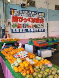 【大阪】日本最大級のまぐろパーク