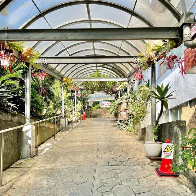 【熱川バナナワニ園】ワニ以外にもいろんな生き物に会える