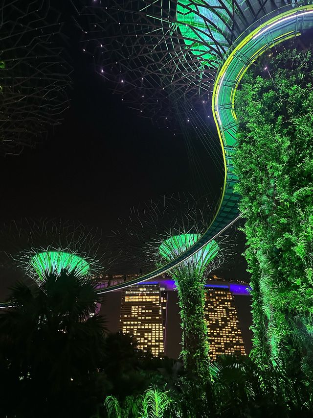 《新加坡》必去地標級景點 超壯觀燈光秀-Supertree Grove