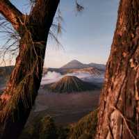 Mt.Bromo 🌋 (ลมหายใจแห่งเทพเจ้า)