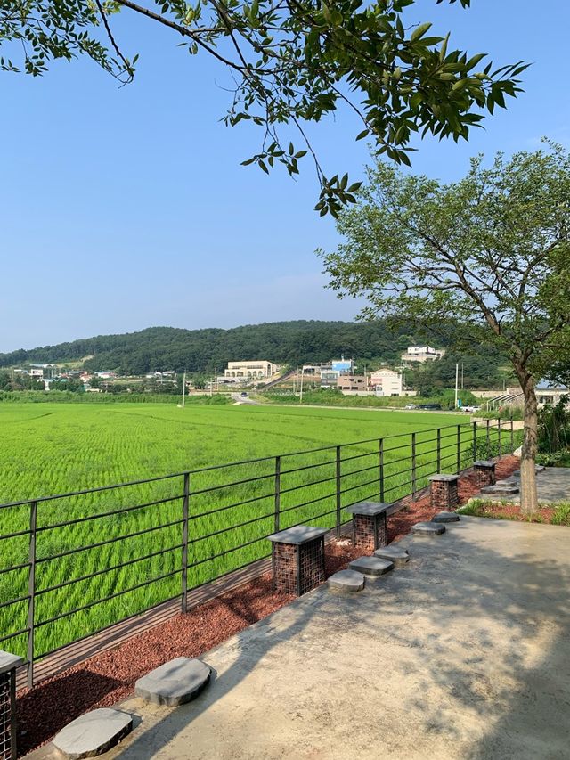 아산 신상카페! 눈이 맑아지는 기분은 덤 🫣