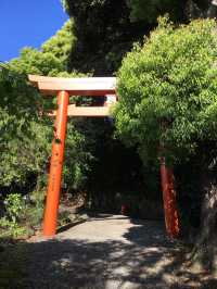 【静岡県/伊豆山神社】温泉を生み出す神が祀られる神社