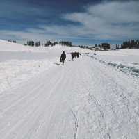 Gulmarg -The Heaven 