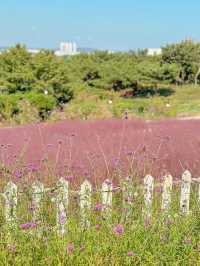 꽃잔치 가득 열린 청주 카페 아르떼 물들이다🌸