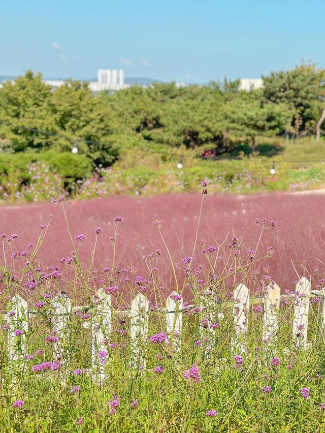 꽃잔치 가득 열린 청주 카페 아르떼 물들이다🌸