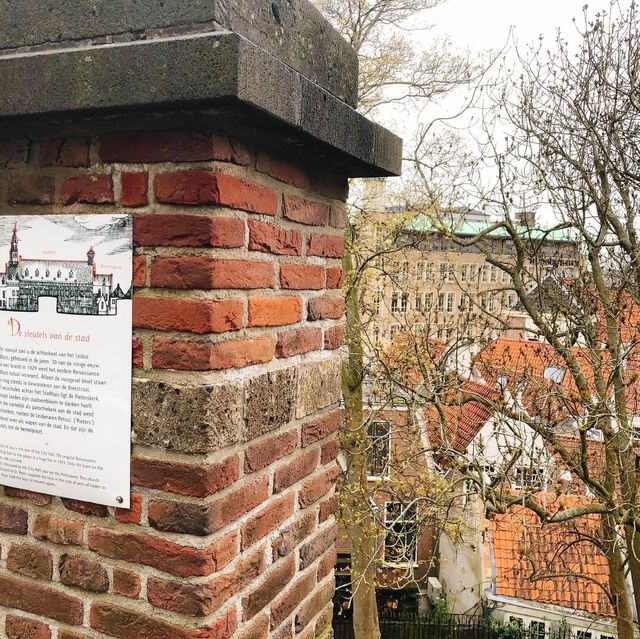 荷蘭🇳🇱萊頓🔰⚜️🔱 Burcht van Leiden 上層景觀篇