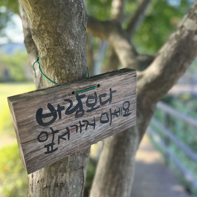 중세 유럽같은 옥천수생식물학습원