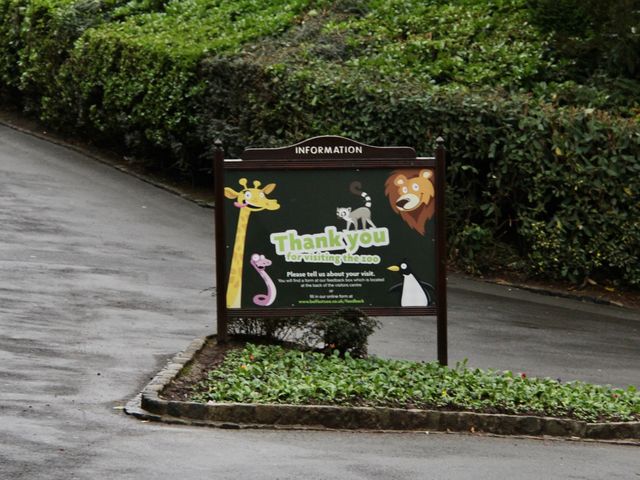 Best wildlife park in Belfast worth visiting 