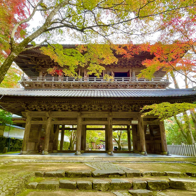 Autumn Splendor at Eigen-ji Temple