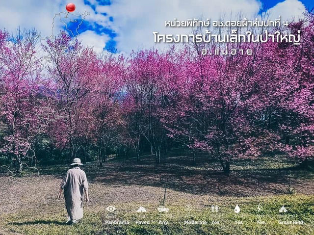 12 ลานกางเต็นท์ เชียงใหม่