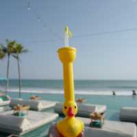 峇里島Canggu 最新 最大beach club 