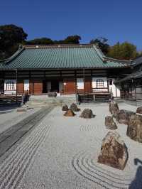 【静岡(浜松)】ダウン症天才書家の"世界一大きい般若心経"がある龍雲寺