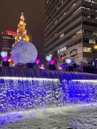서울 대표 겨울 축제, 빛초롱축제💡