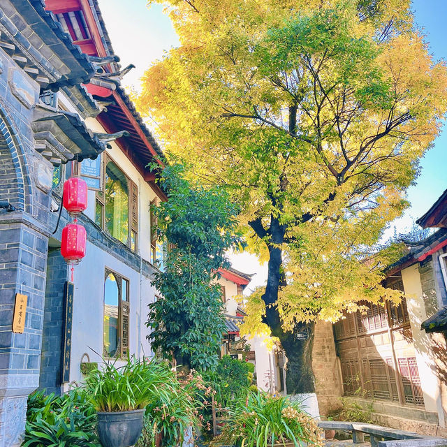 金燦燦的麗江古城