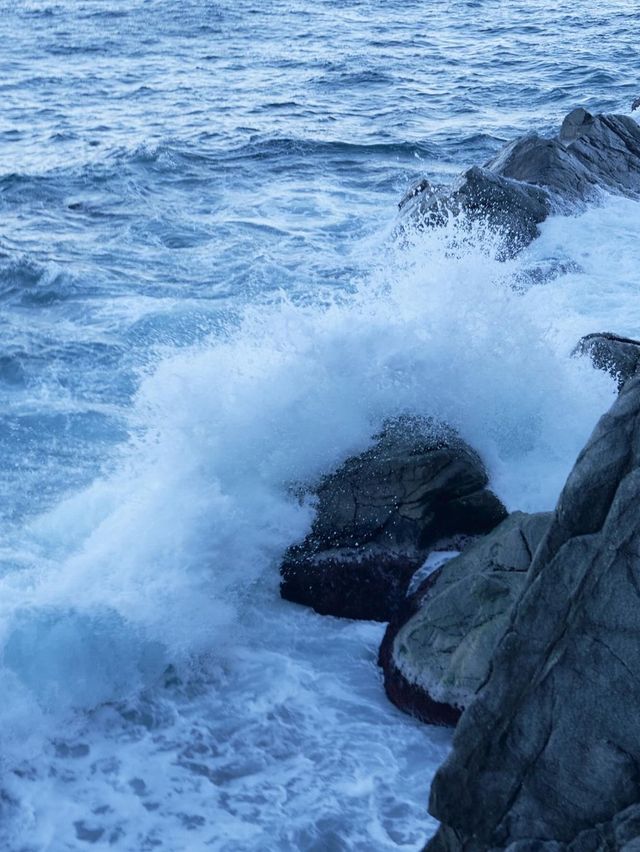 겨울 바다는 영덕으로🌊🌊 여행코스 모음집