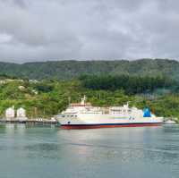 Picton Bliss: Ferry Memories Revived