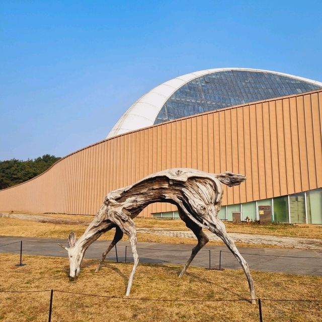 지구의 기후와 생태계의 압축판이 서천에!