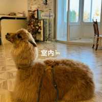 深圳一日遊 - 沉浸式機關密室逃脫+可可愛愛草泥馬