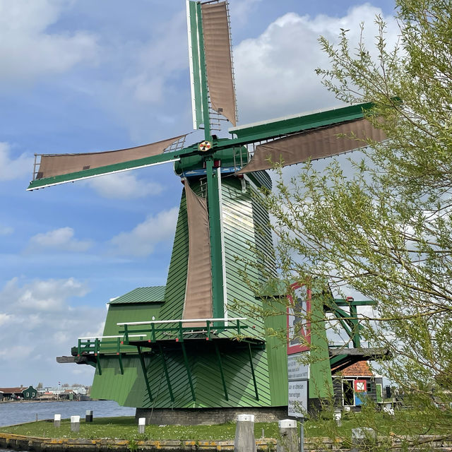 Windmill and Miffy in Amsterdam