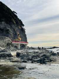 【神奈川県/稚児ケ淵】神奈川の絶景スポット