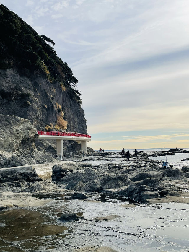 【神奈川県/稚児ケ淵】神奈川の絶景スポット