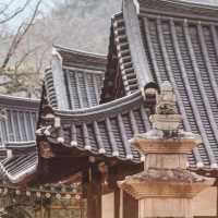 The Beauty of Unmunsa Temple in Winter 