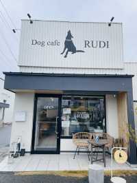 【大阪府】ペットと過ごせる南大阪エリアのドッグカフェ