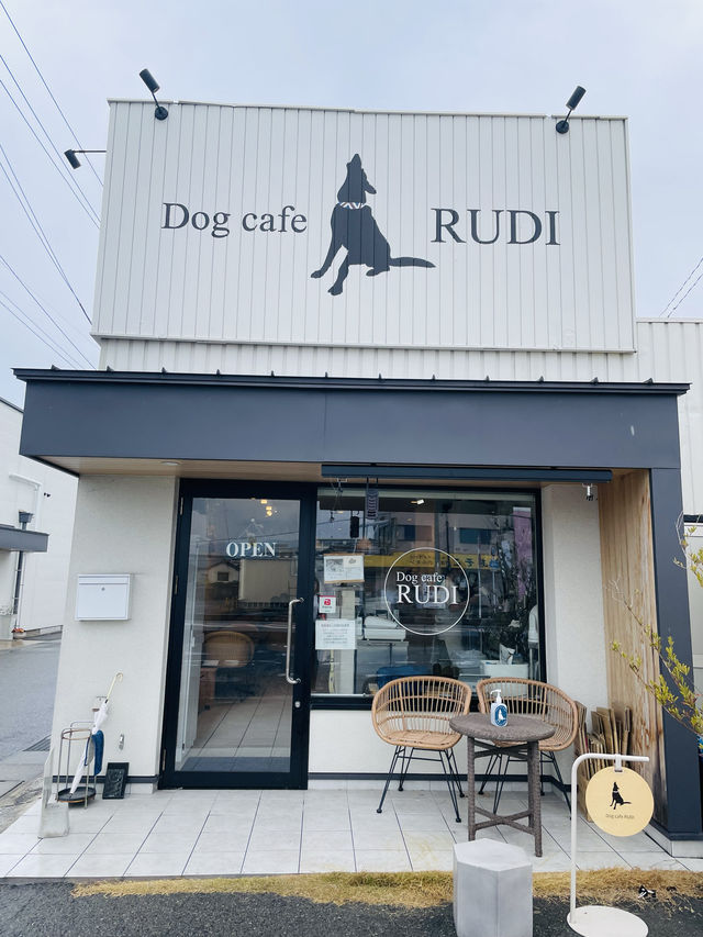 【大阪府】ペットと過ごせる南大阪エリアのドッグカフェ
