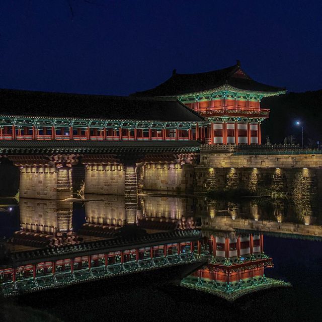 경주의 야경
