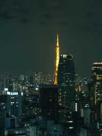 【東京】日比谷から東京を見渡すホテル！ブラッサム日比谷