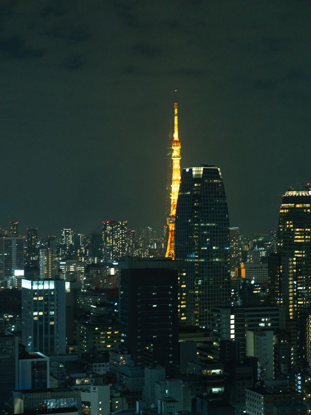 【東京】日比谷から東京を見渡すホテル！ブラッサム日比谷