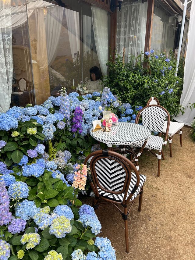 不在國外在深圳💐我找到了莫奈花園！超好拍