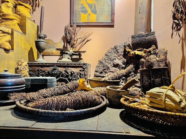 Museum of Traditional Vietnamese Medicine