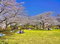 Hitsujiyama Park