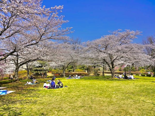 Hitsujiyama Park