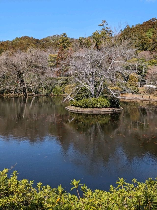 龍安寺の境内の鏡容池(おしどり池)の、水分石(みくまり石)の上には、２羽の鳥が仲良く並んでいた