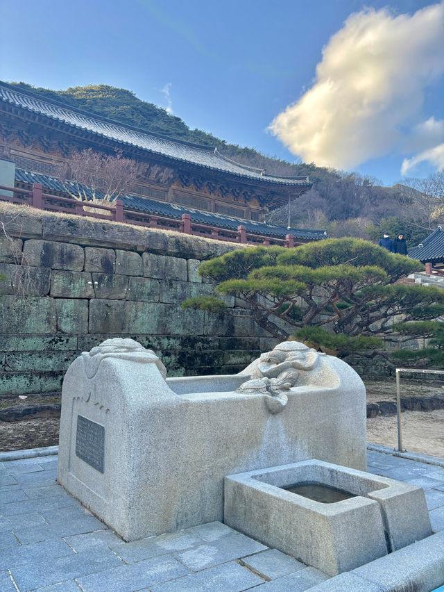 자연을 보며 고즈넉함에 빠질 수 있는 구례 사찰🧡