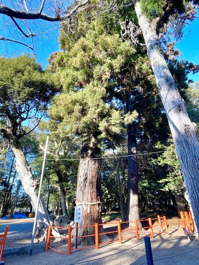 【息栖神社/茨城県】日本三霊水のひとつ忍潮井が必見