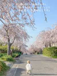 愛知　枝垂れ桜の隠れた名所　東谷山フルーツパーク